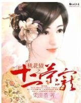 桃花债之十二荣宠