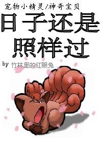 (宠物小精灵同人/BG)日子还是照样过
